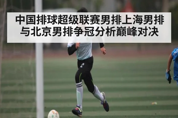 中国排球超级联赛男排上海男排与北京男排争冠分析巅峰对决