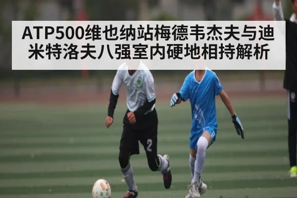 ATP500维也纳站梅德韦杰夫与迪米特洛夫八强室内硬地相持解析